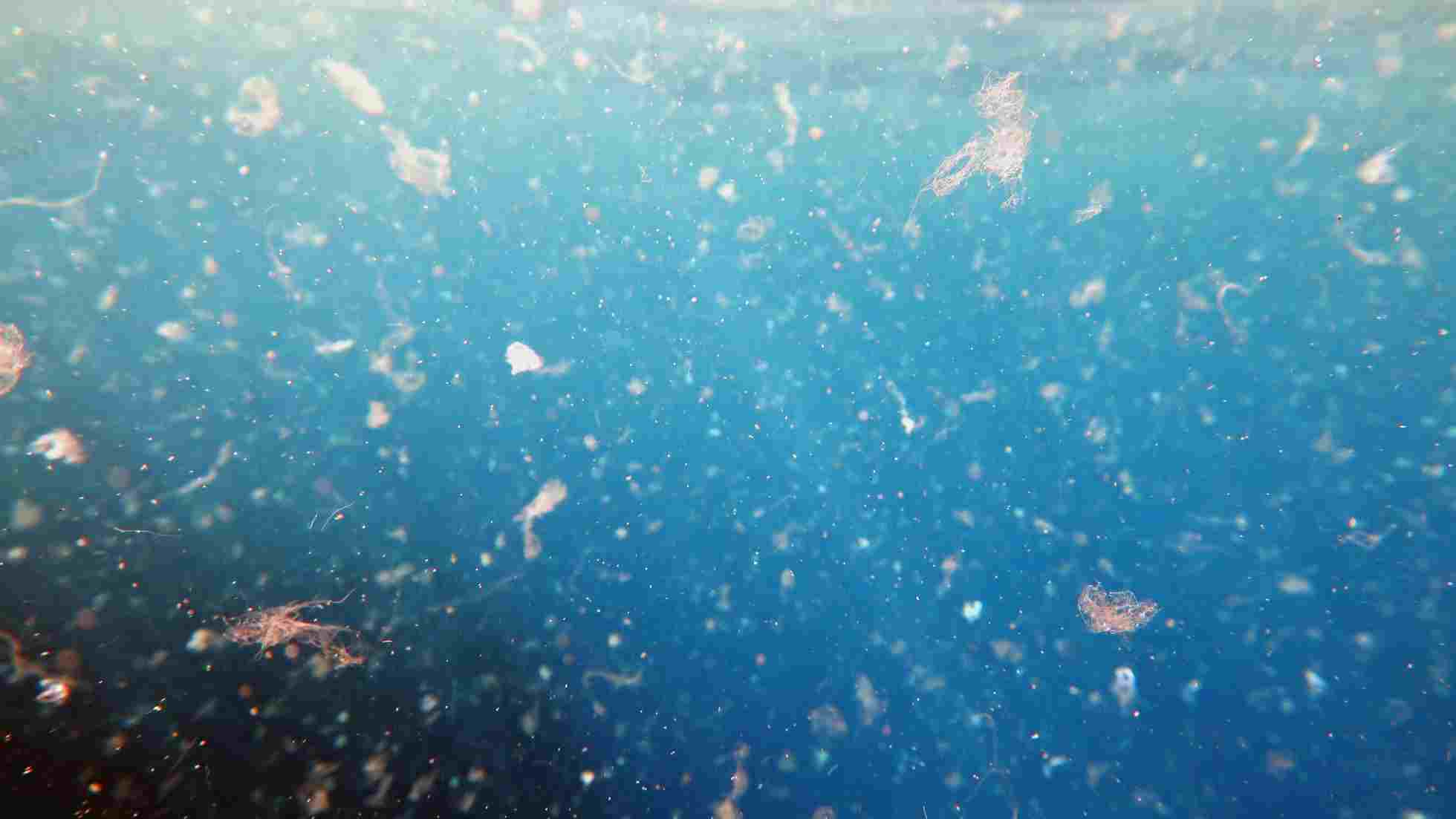 The Hidden Cost of Microplastics: How They’re Impacting Our Environment