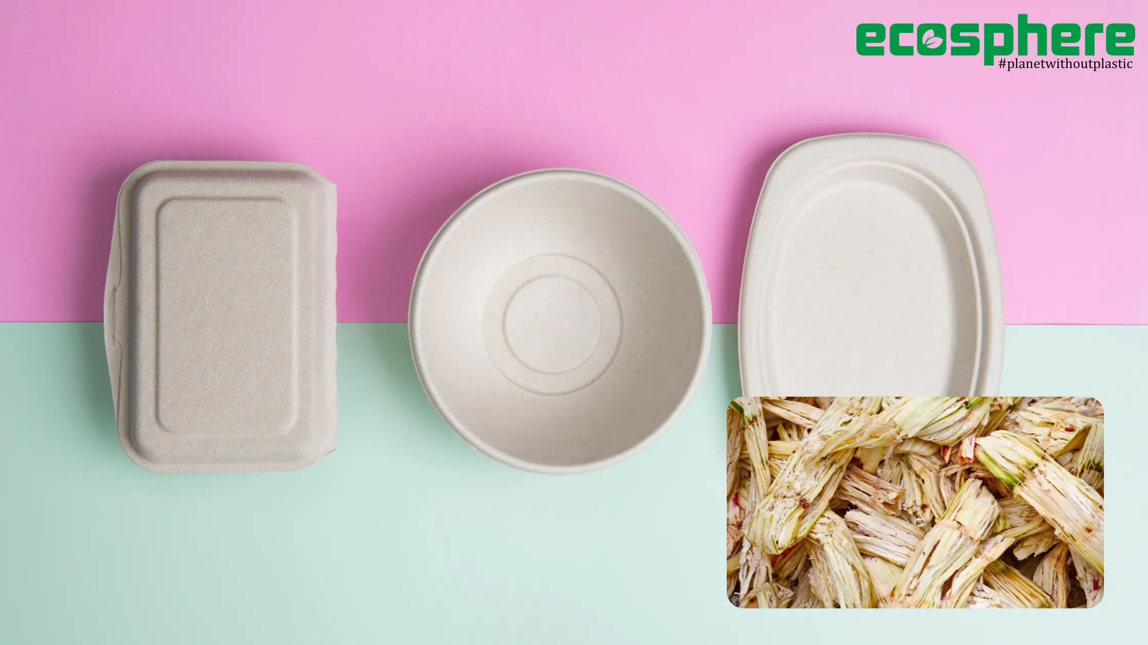 Unveiling the Eco-Warrior: Bagasse Products and Their Journey Towards Sustainability