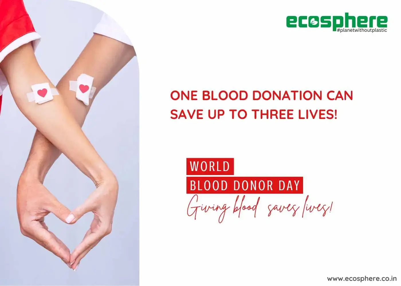 World Blood Donor Day: Celebrating Heroes and Sustainability