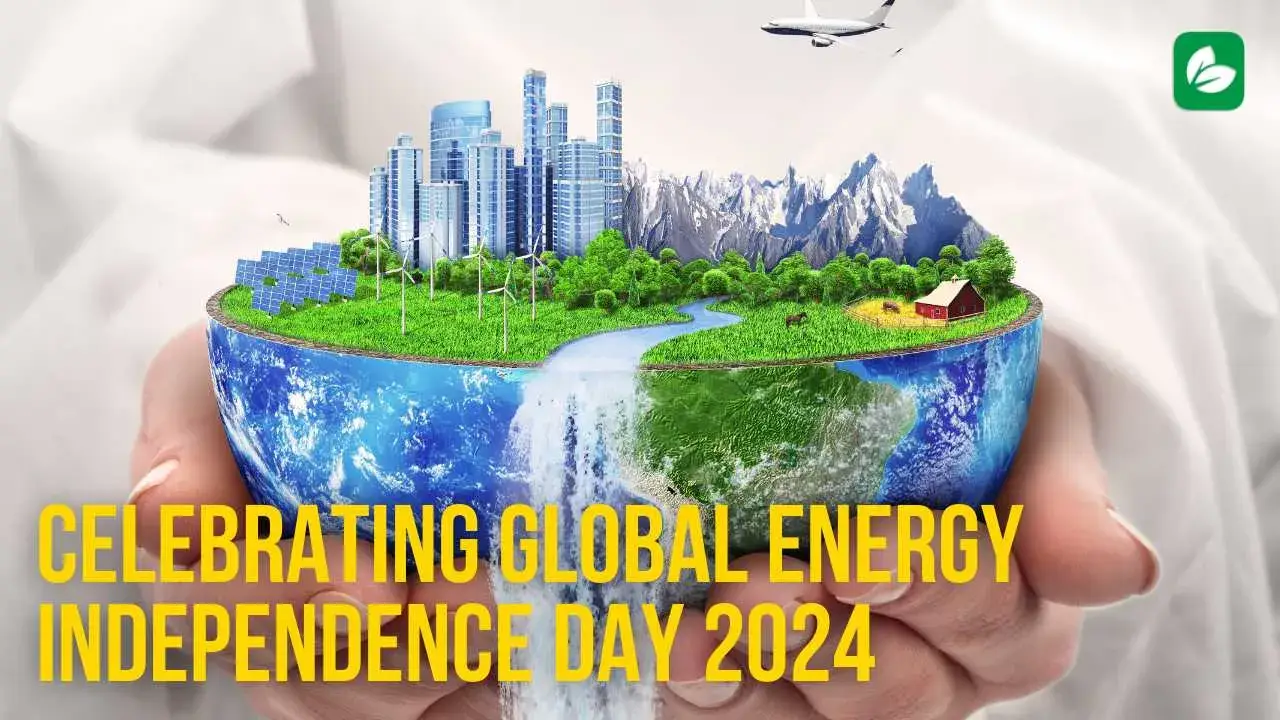Celebrating Global Energy Independence Day with Ecosphere